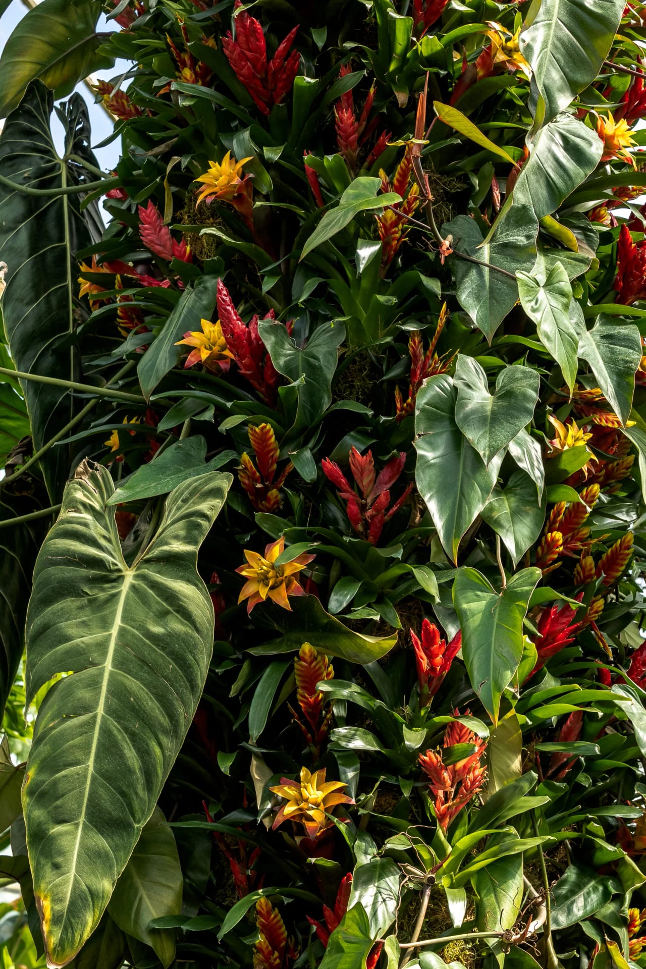 Kew Gardens