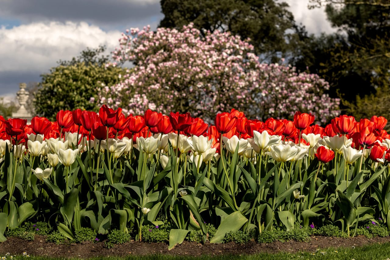 Kew Gardens