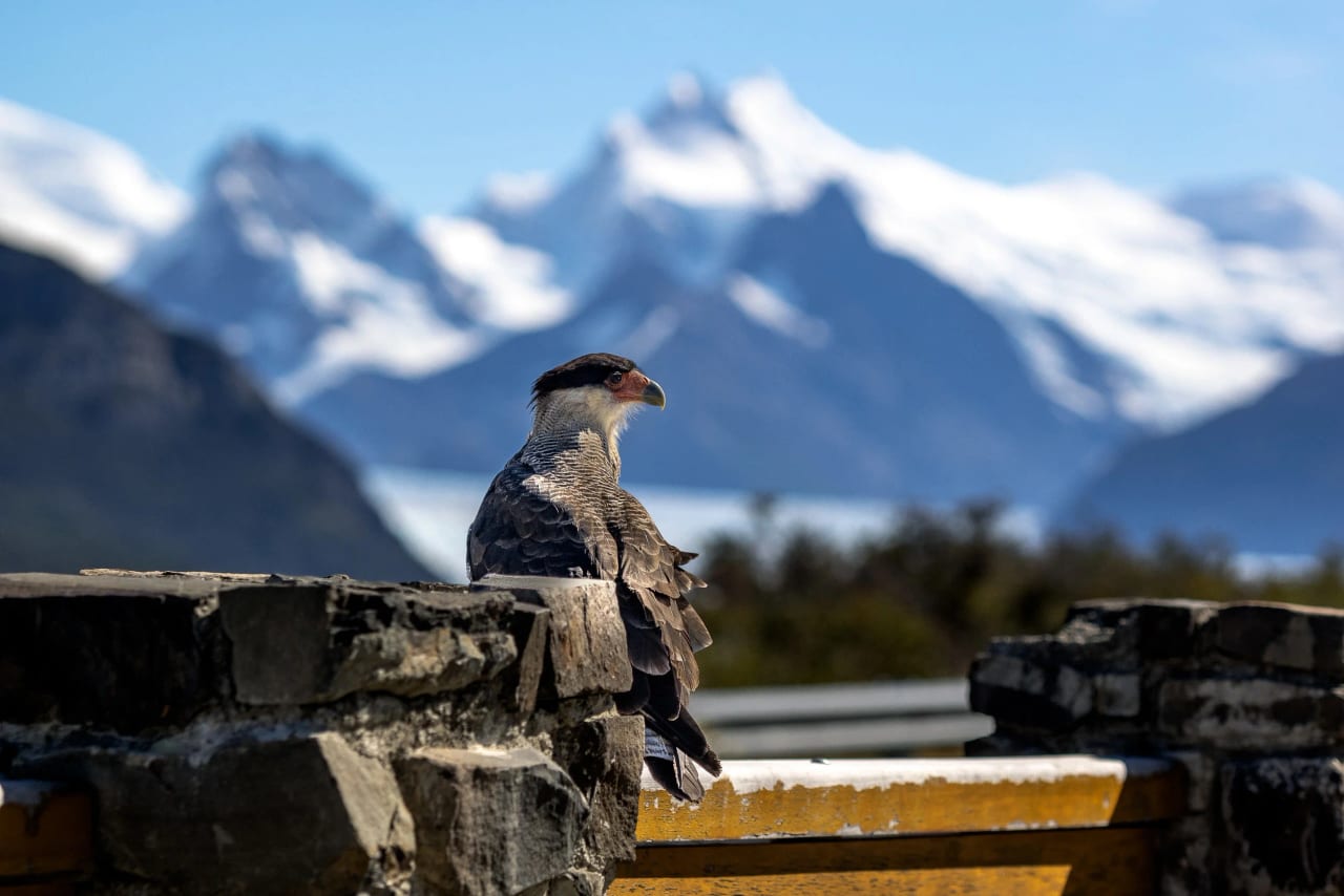 Patagonia 2017