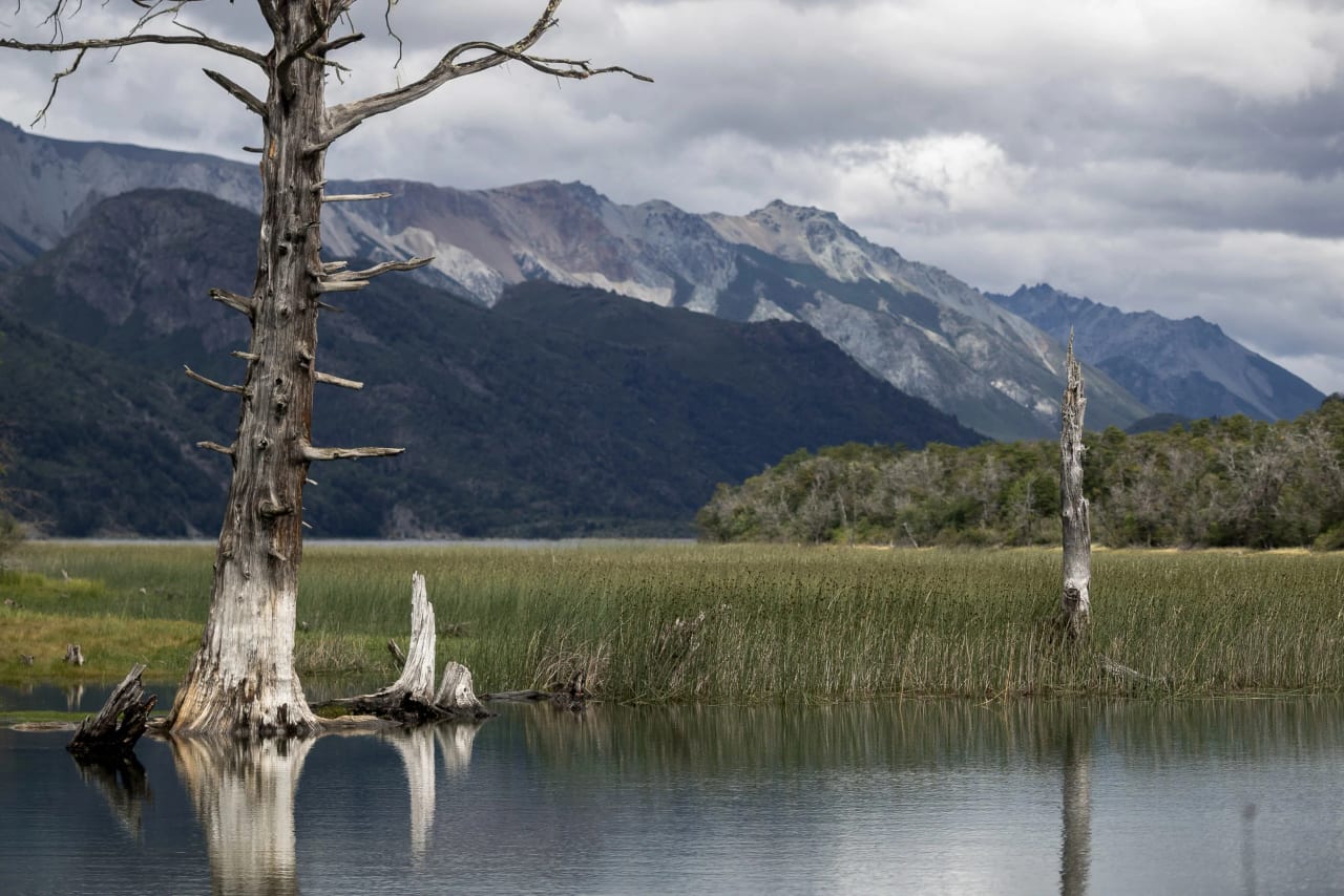 Patagonia 2017