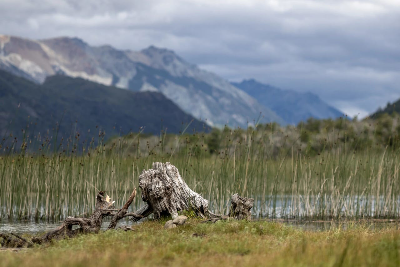 Patagonia 2017