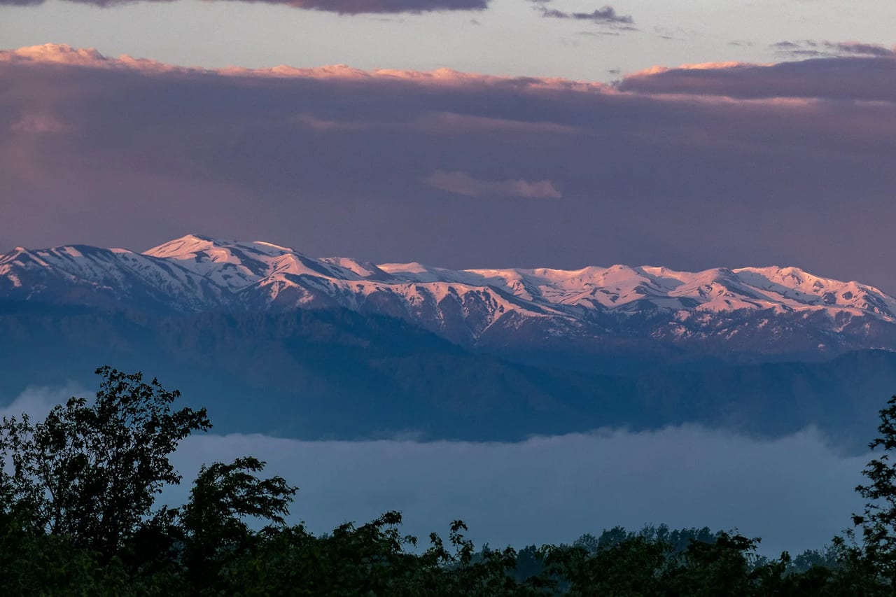 Georgia