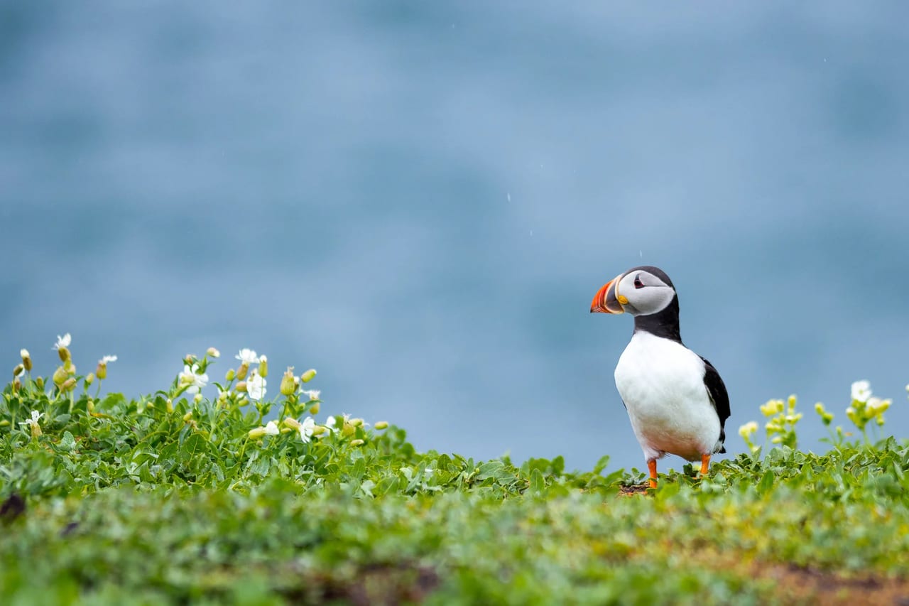 TT-20170520-142657-4.jpg